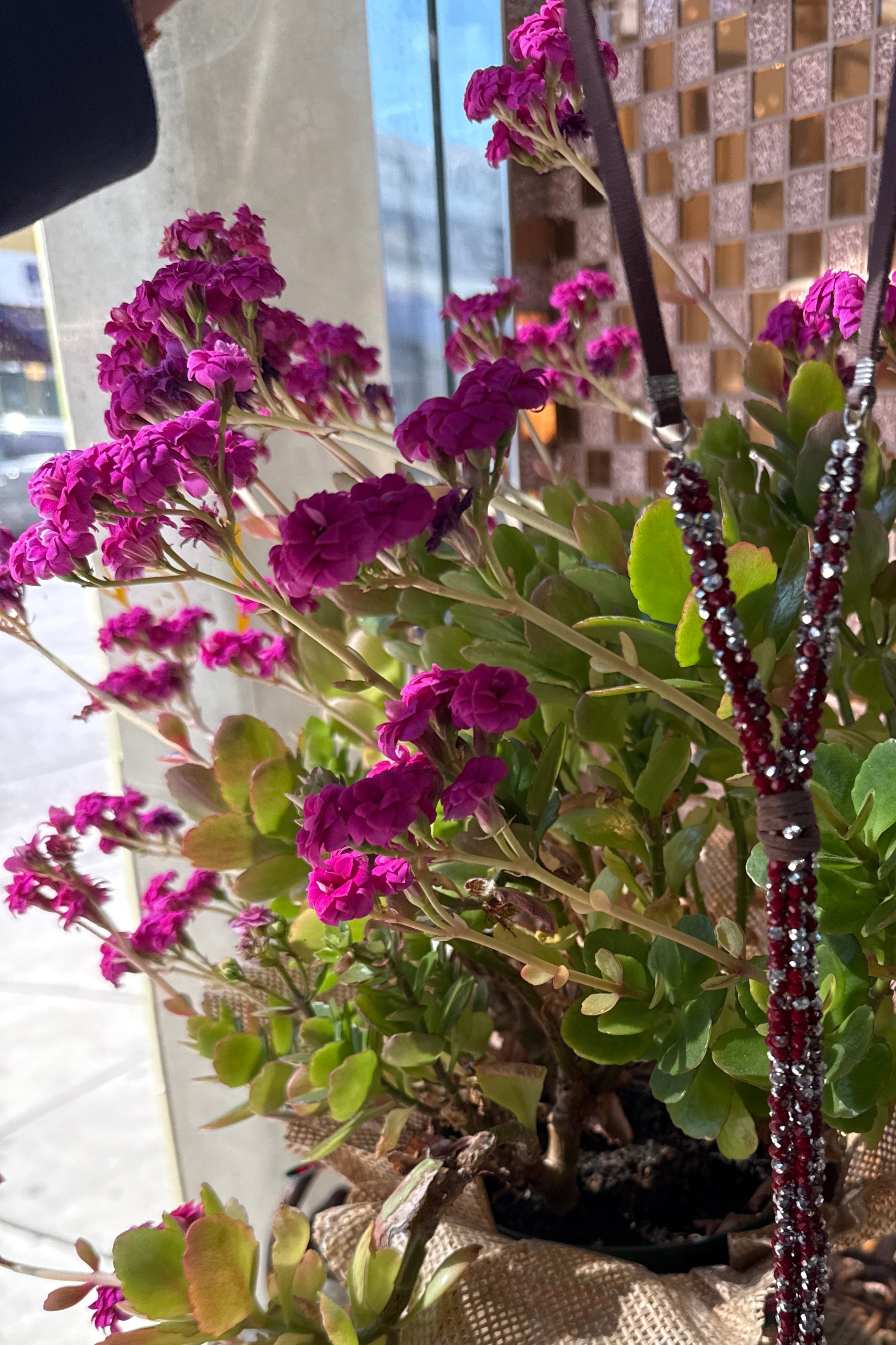 Collar largo de cuentas de cristal N2670