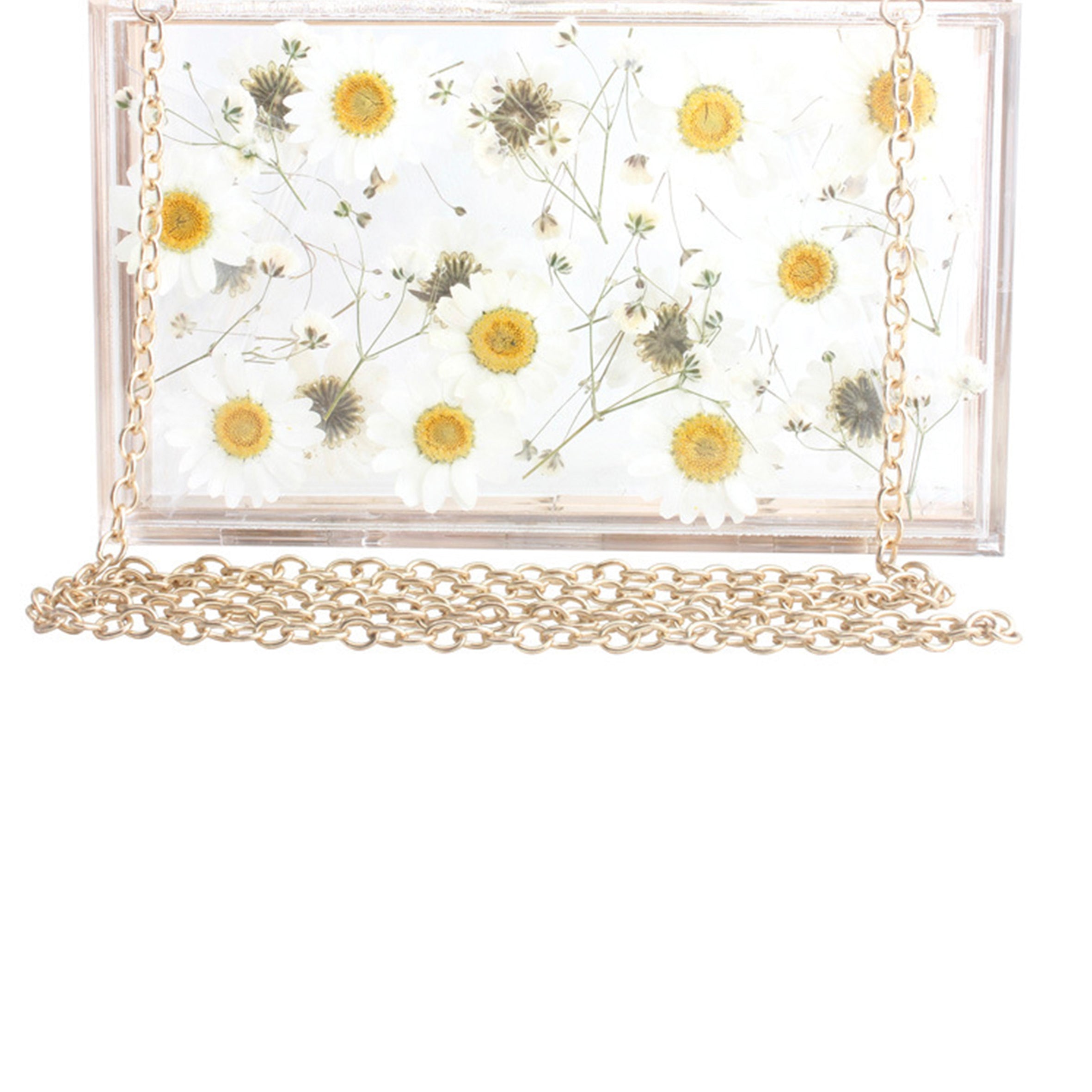 Dasiy Acrylic Crossbody bags HB1160