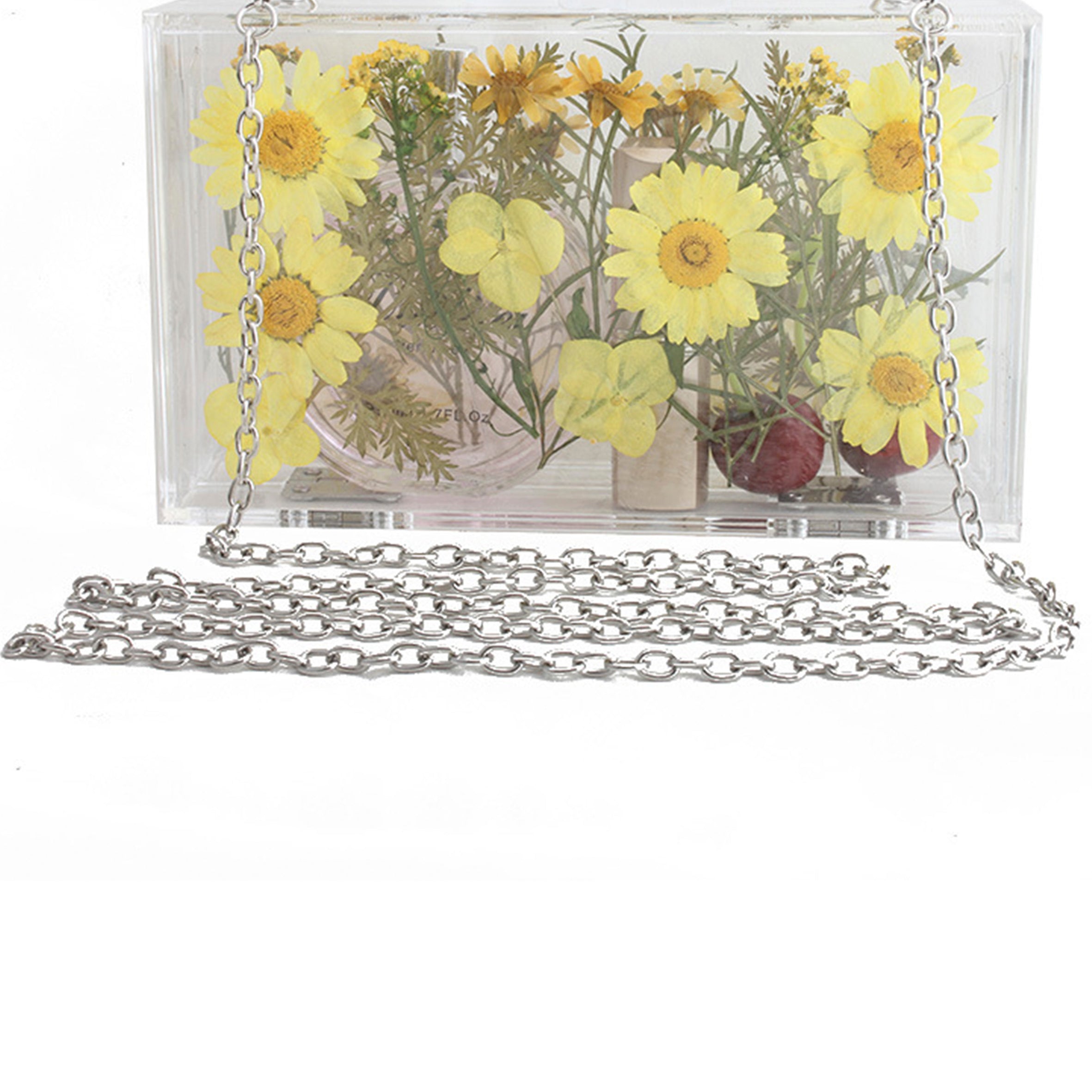 Dasiy Acrylic Crossbody bags HB1160