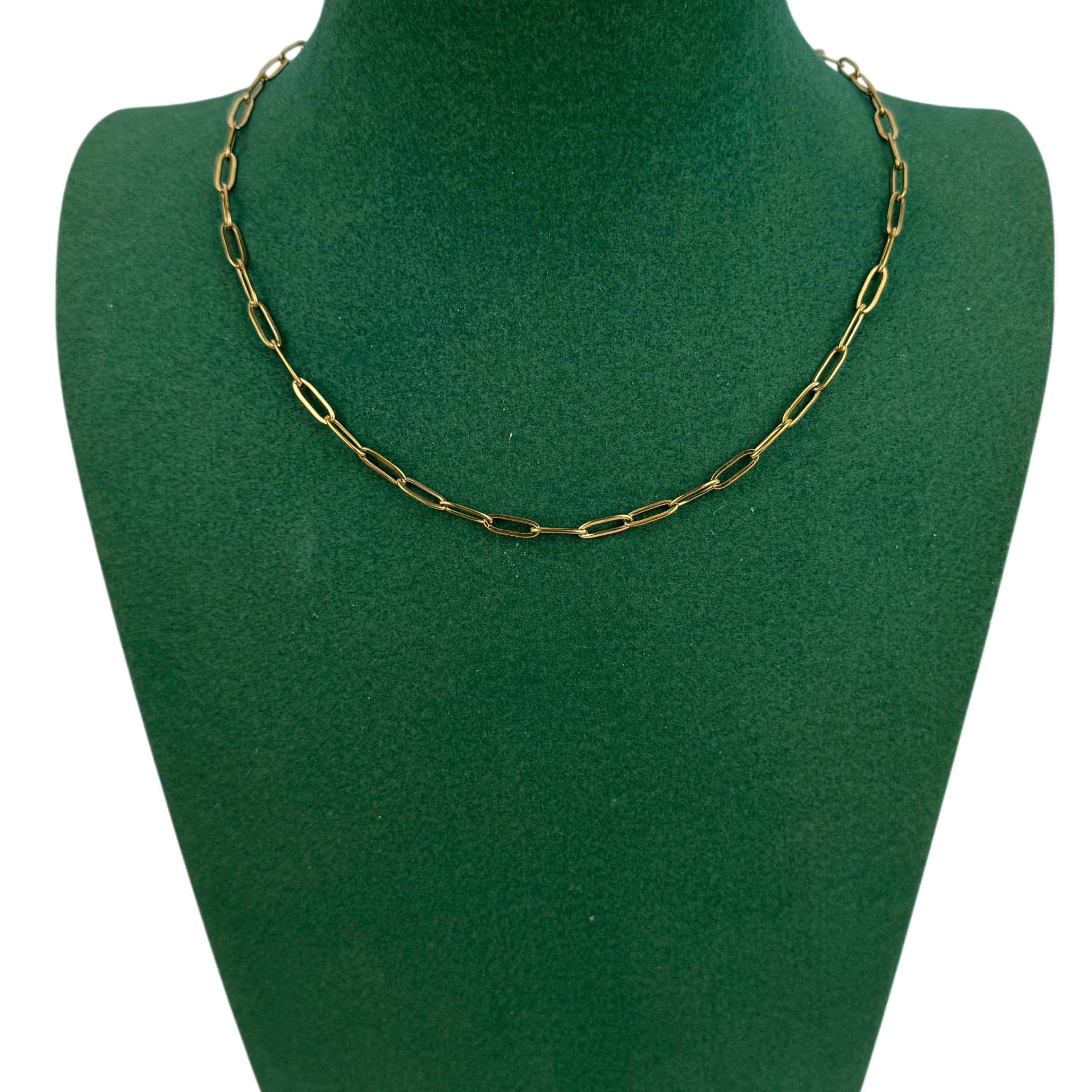 Lock Chain Stainless Steel Necklace N5881