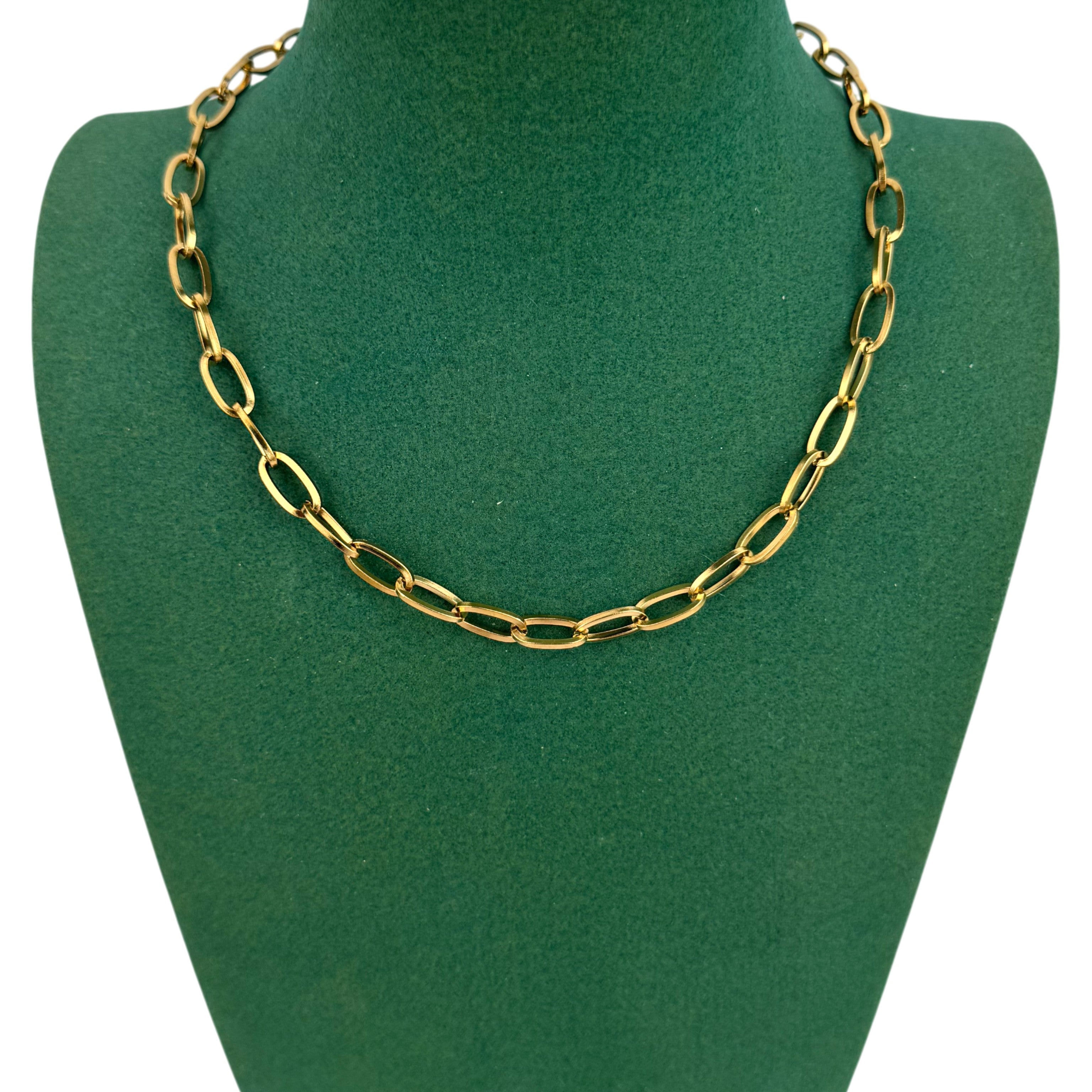 Lock Chain Stainless Steel Necklace N5898