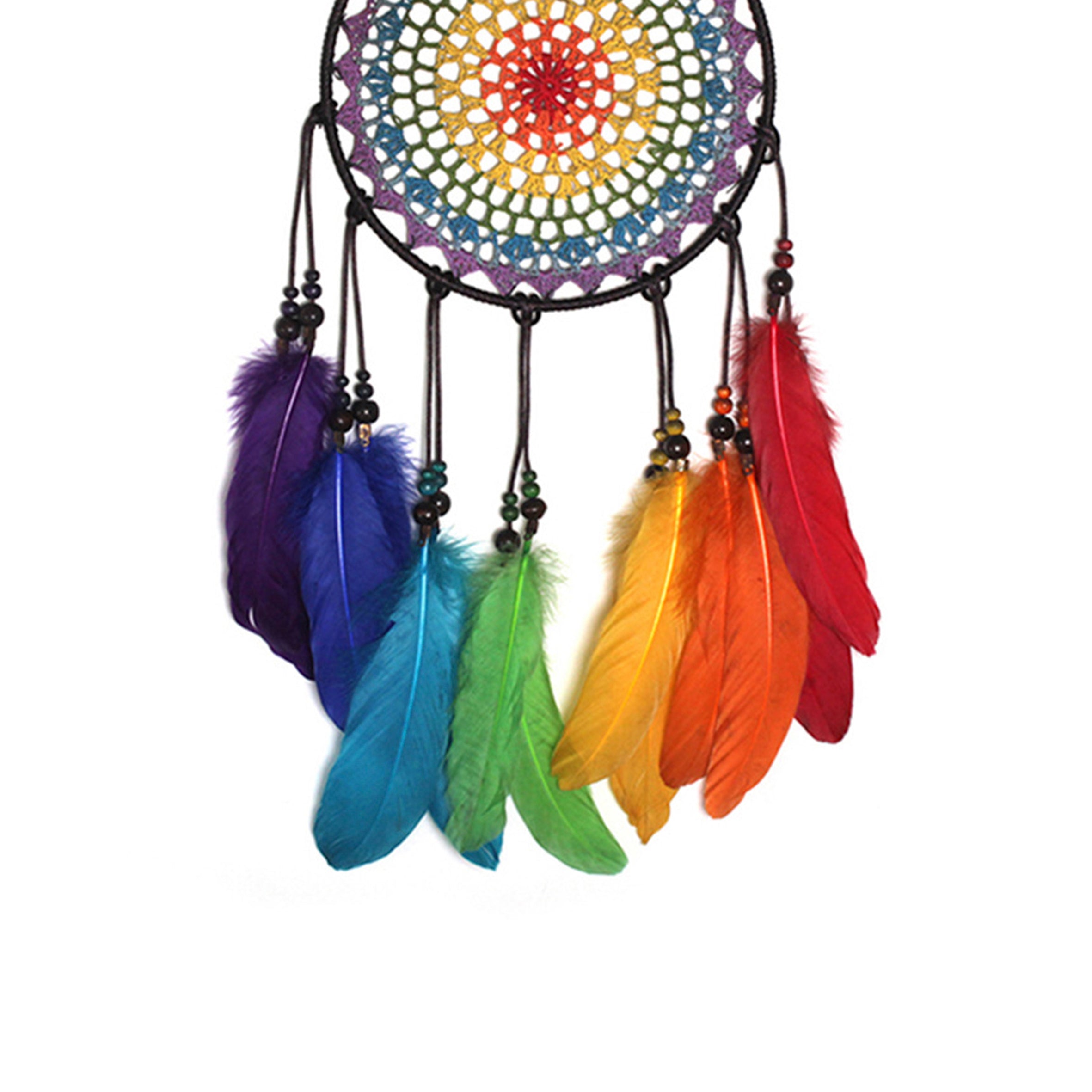 Feather Tassel Dreamcatcher W1613