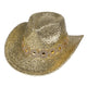 Sequin Rhinestone Cowgirl Hat C0829