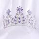 Luxurious Rhinestone Crown Headband L4109