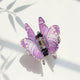 Butterfly Acrylic Hair Clip L5022