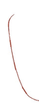 Long Seed Beads Necklace N3261