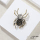Broche de araña con diamantes de imitación PA3356