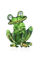 Frog Acrylic Brooch PA4707