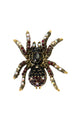 Broche de araña con diamantes de imitación PA4926