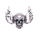 Broche con forma de calavera y huesos alados PA5212 