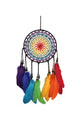 Feather Tassel Dreamcatcher W1613